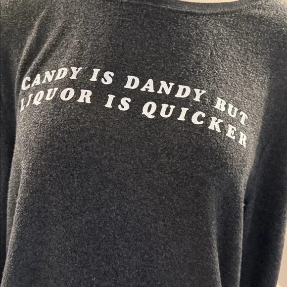 Wildfox Charcoal “Candy is dandy but liquor is quicker” sweatshirt. Large. - Picture 2 of 9